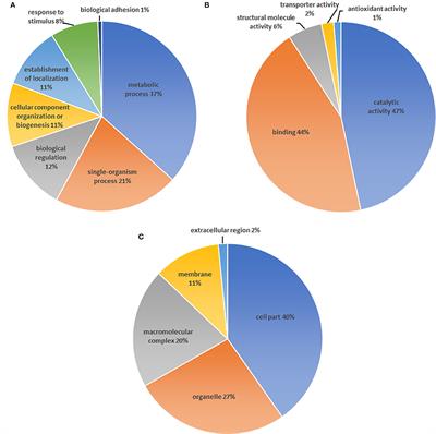 Proteomics Analysis of Hydatigera taeniaeformis Metacestode Stage